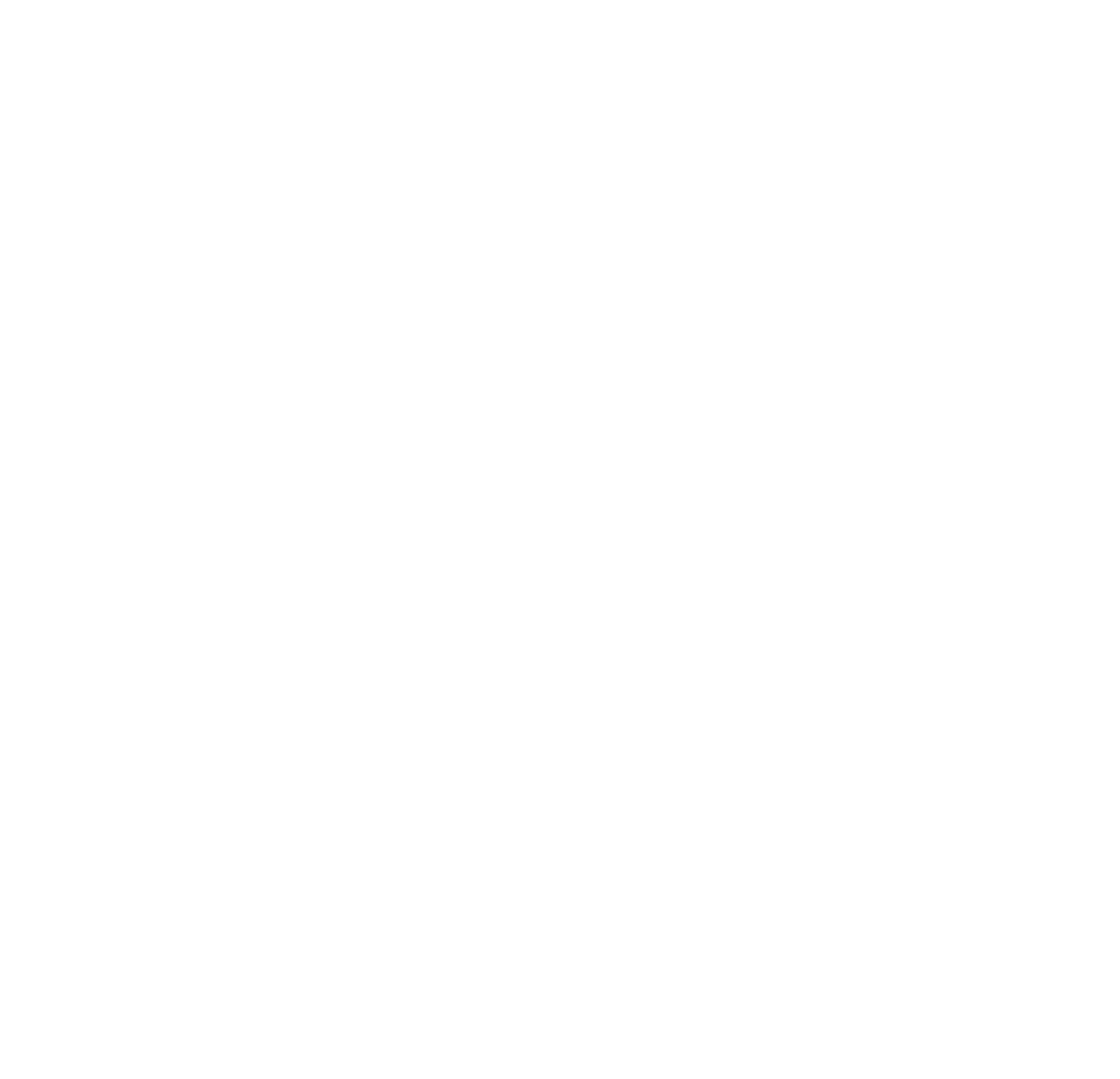 RVFX Studio